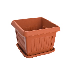 Senwell product